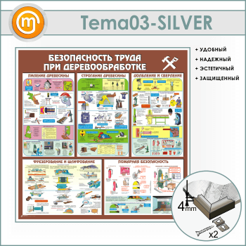 ����� ������������� ����� ��� ��������������� (TM-03-SILVER)