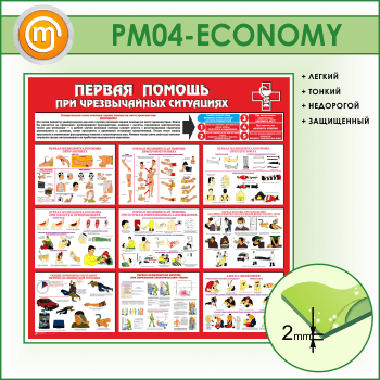 ����� ������� ������ ��� ������������ ���������� (PM-04-ECONOMY)