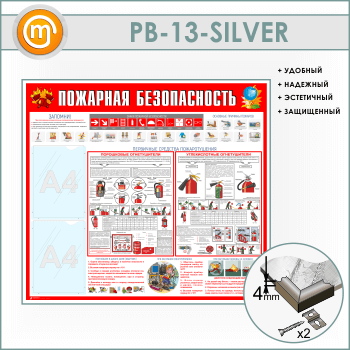 ����� ��������� ������������� � 2 ��������� (PB-13-SILVER)