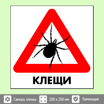 ���� ������, B97 (������ c ��������������, 300�300 ��)