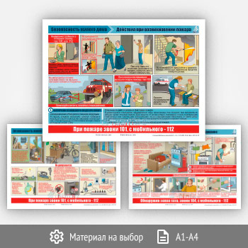 ������� ������������� ������ ���� (�������� ������������, ��� � ������� ������������, �������� ��� ������������� ������) (�-08, 3 �����)